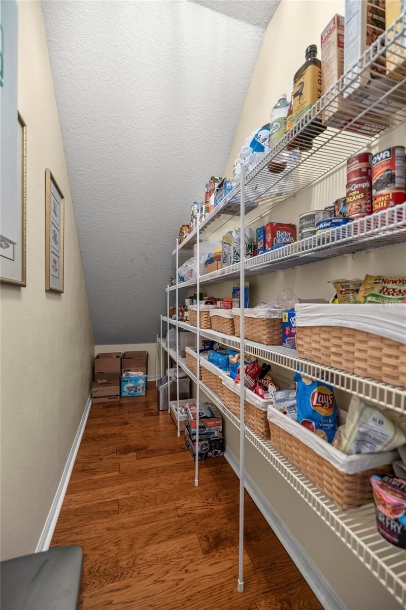 10264 W Springtree Lane, Crystal River, FL 34428 Photo