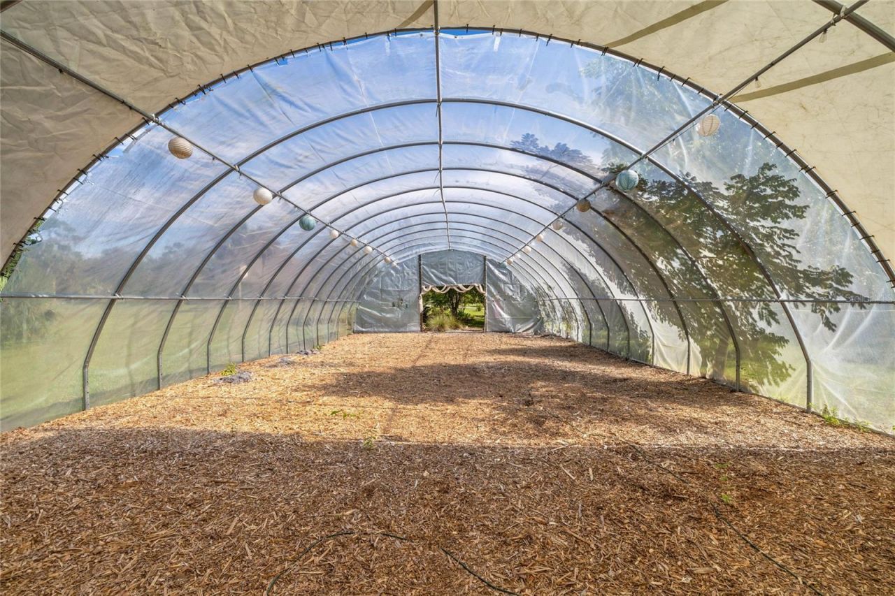 10264 W Springtree Lane, Crystal River, FL 34428 Photo