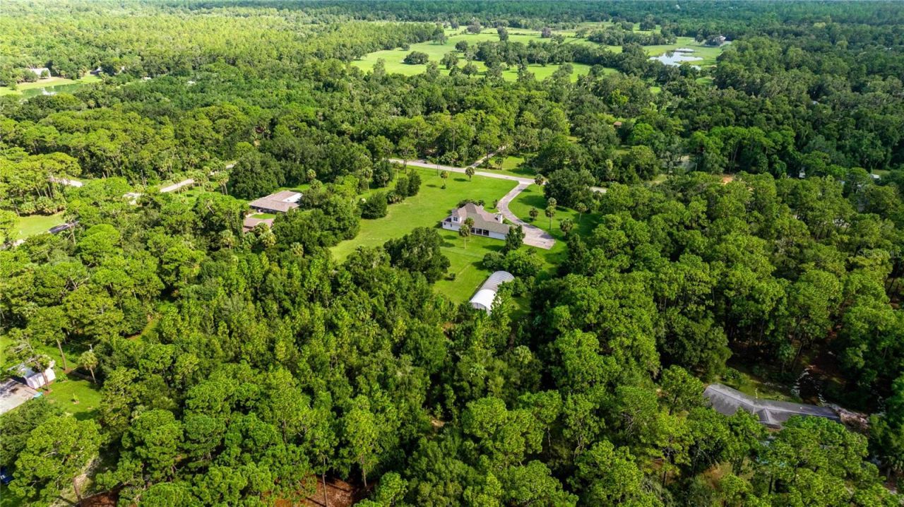 10264 W Springtree Lane, Crystal River, FL 34428 Photo