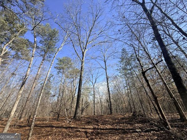 1 Bunch Road, Tignall, GA 30668