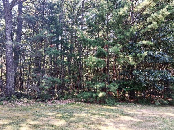 Lot 21 W Nestel Road, Prudenville, MI 48651