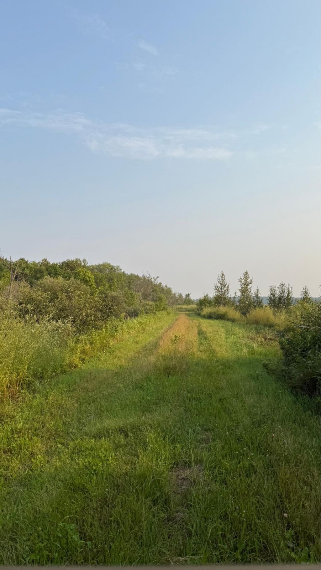 Tbd160 Sunflower Road, Kelliher, MN 56650 Main Photo