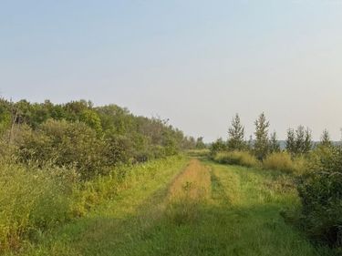 TBD160 Sunflower Road, Kelliher, MN 56650