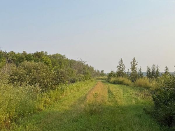 TBD160 Sunflower Road, Kelliher, MN 56650