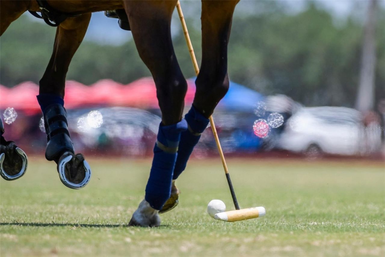 6020 County Road 675, Bradenton, FL 34211 Photo