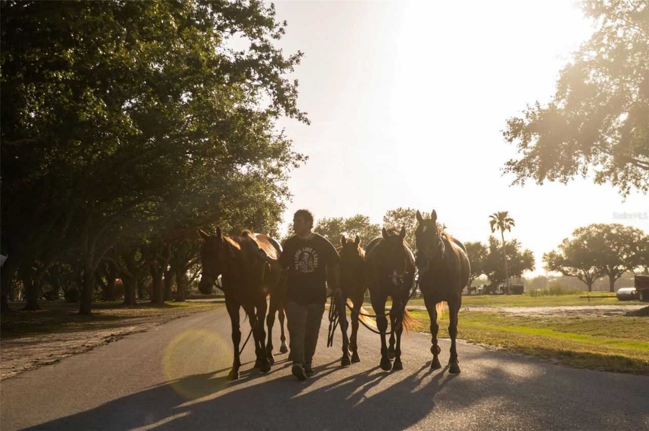 6020 County Road 675, Bradenton, FL 34211 Photo