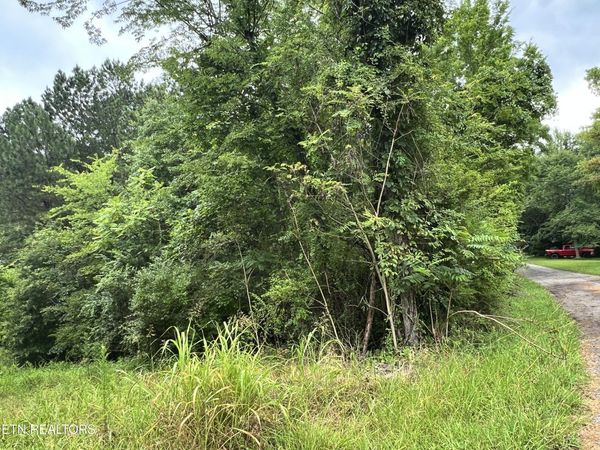 Lot 2 Prigmore Ridge Rd, Decatur, TN 37322
