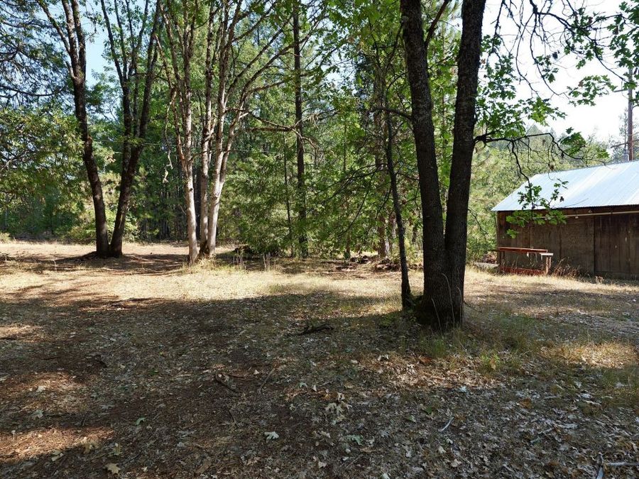 Property Image 54