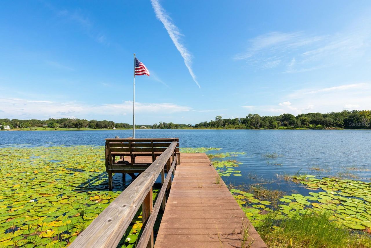 590 Crescent Street, Umatilla, FL 32784 Photo