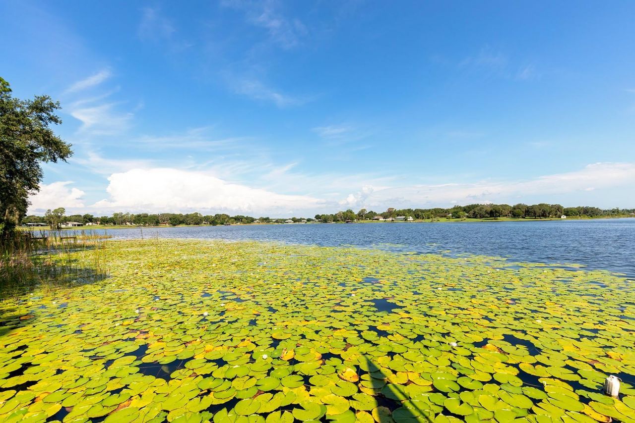 590 Crescent Street, Umatilla, FL 32784 Photo