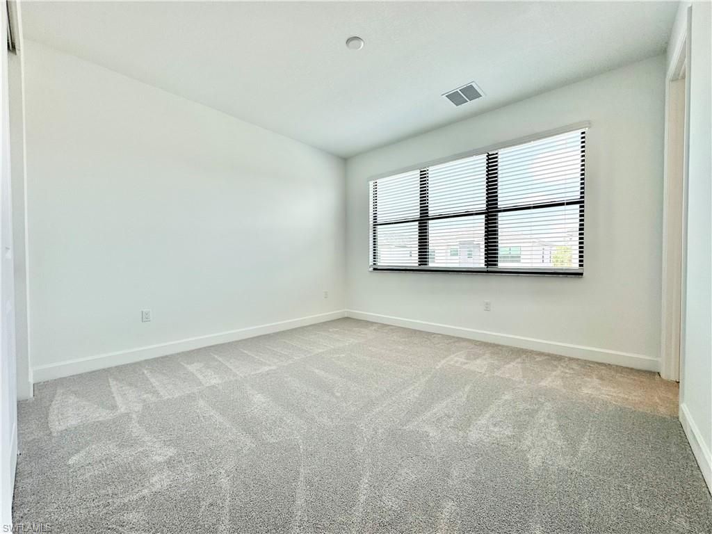 20921 Thistle Leaf Ln, Estero, FL 33928 Photo