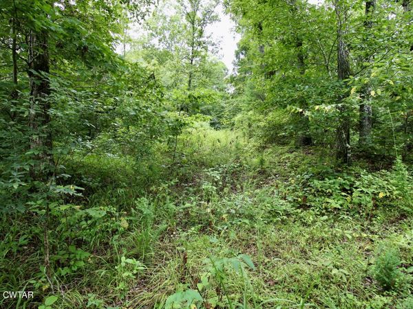 1124 Lick Creek Boat Dock Loop, Parsons, TN 38363