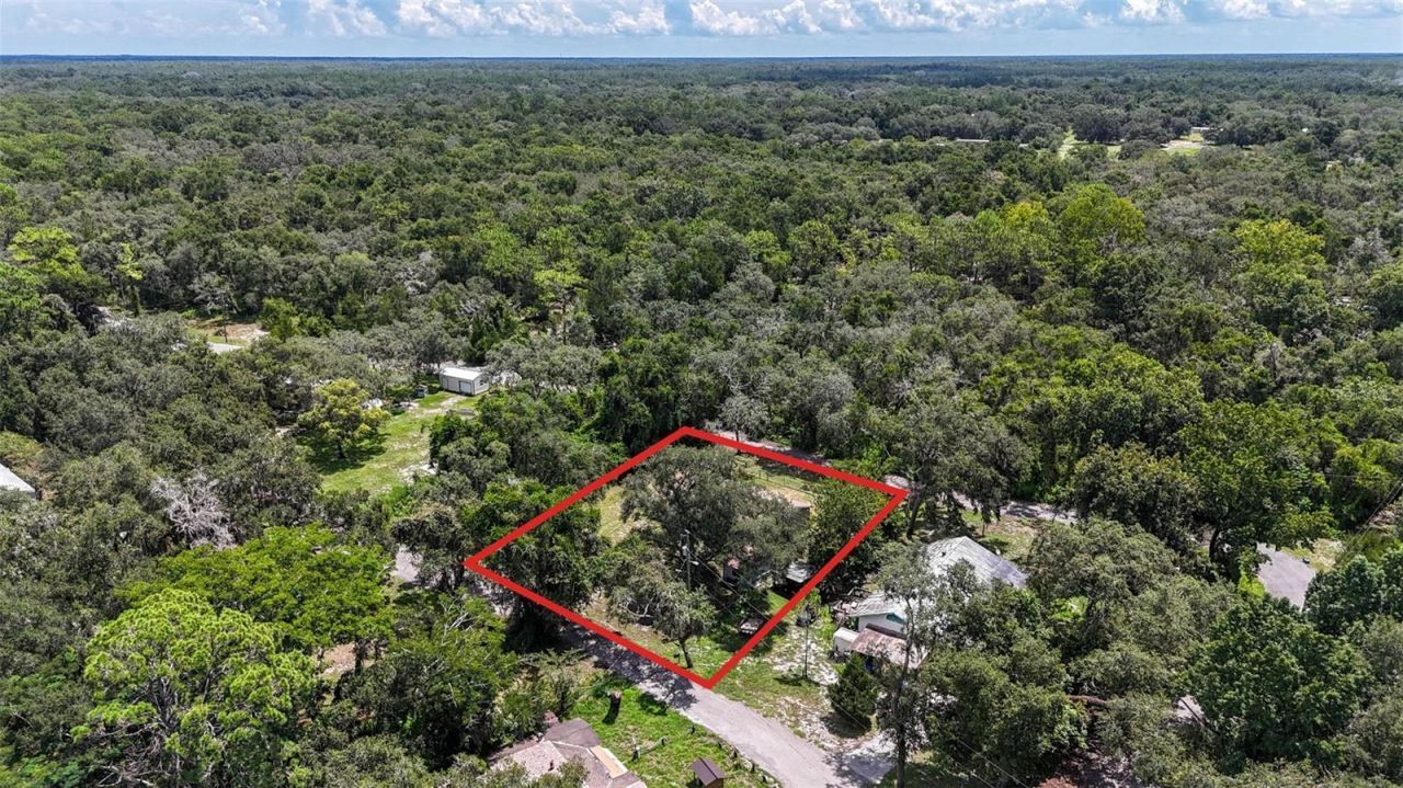 35328 Reynolds Street, Dade City, FL 33523 Photo