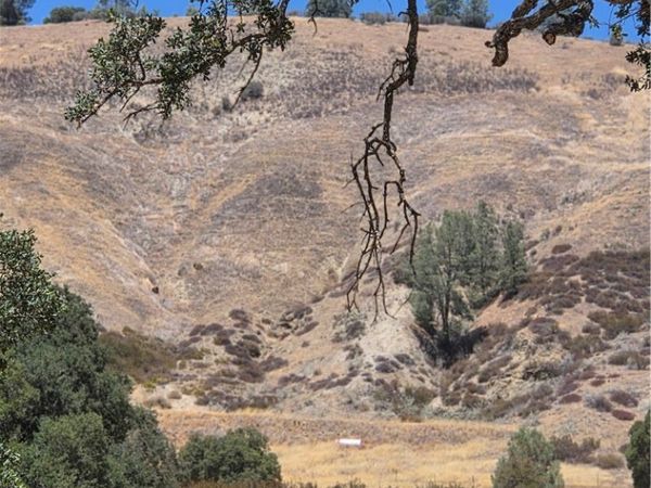 87577 Oak Street, Parkfield, CA 93451