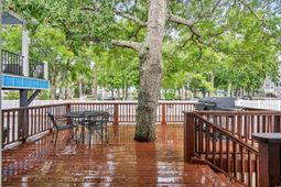 6001- V31 S Kings Highway photo 4