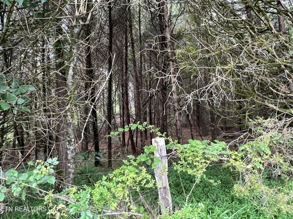 Lot 6 Willie Prigmore Rd, Decatur, TN 37322