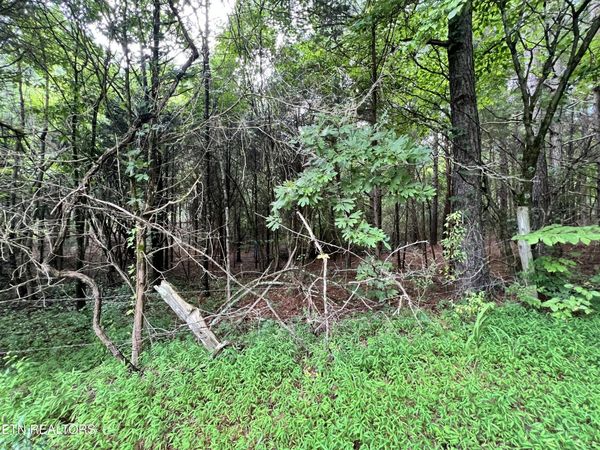 Lot 7 Willie Prigmore Rd, Decatur, TN 37322