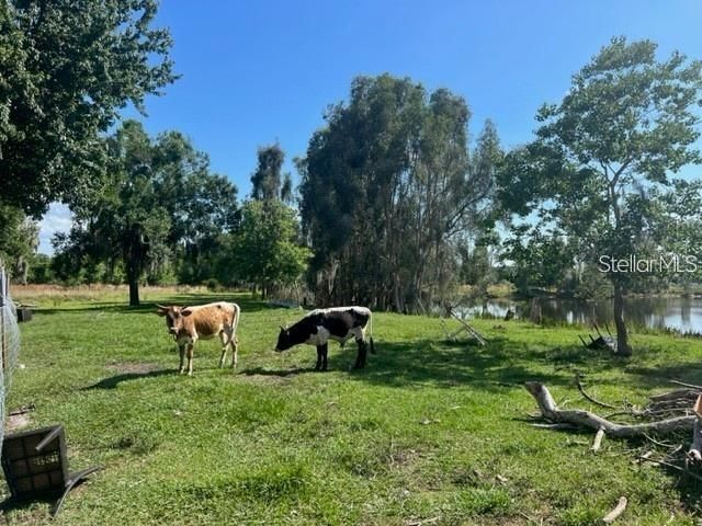 1888 Druliner Road, Saint Cloud, FL 34771 Photo