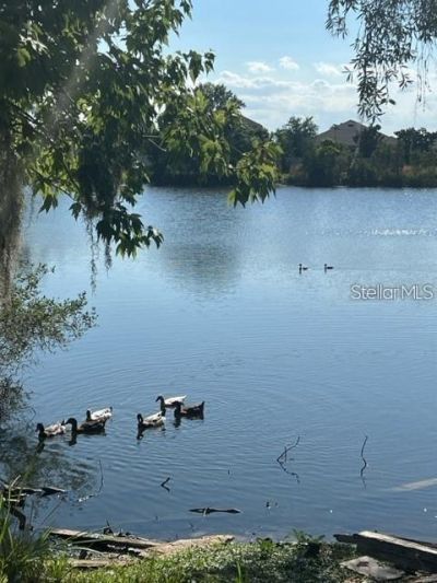 1888 Druliner Road, Saint Cloud, FL 34771 Photo