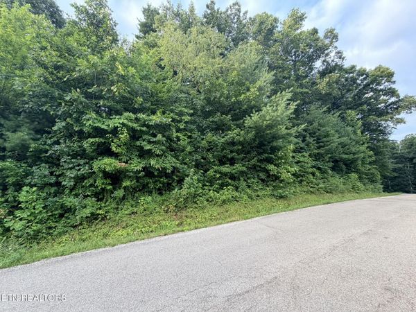 Lot 1 Evergreen Drive, Oneida, TN 37841