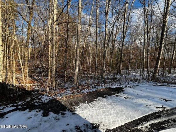 Lot 4 Evergreen Drive, Oneida, TN 37841