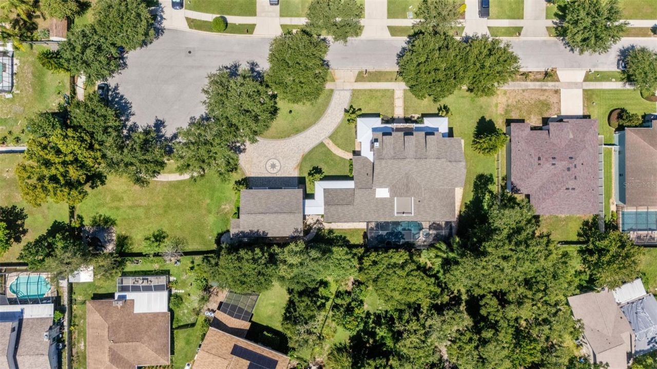 638 Limona Woods Drive, Brandon, FL 33510 Photo