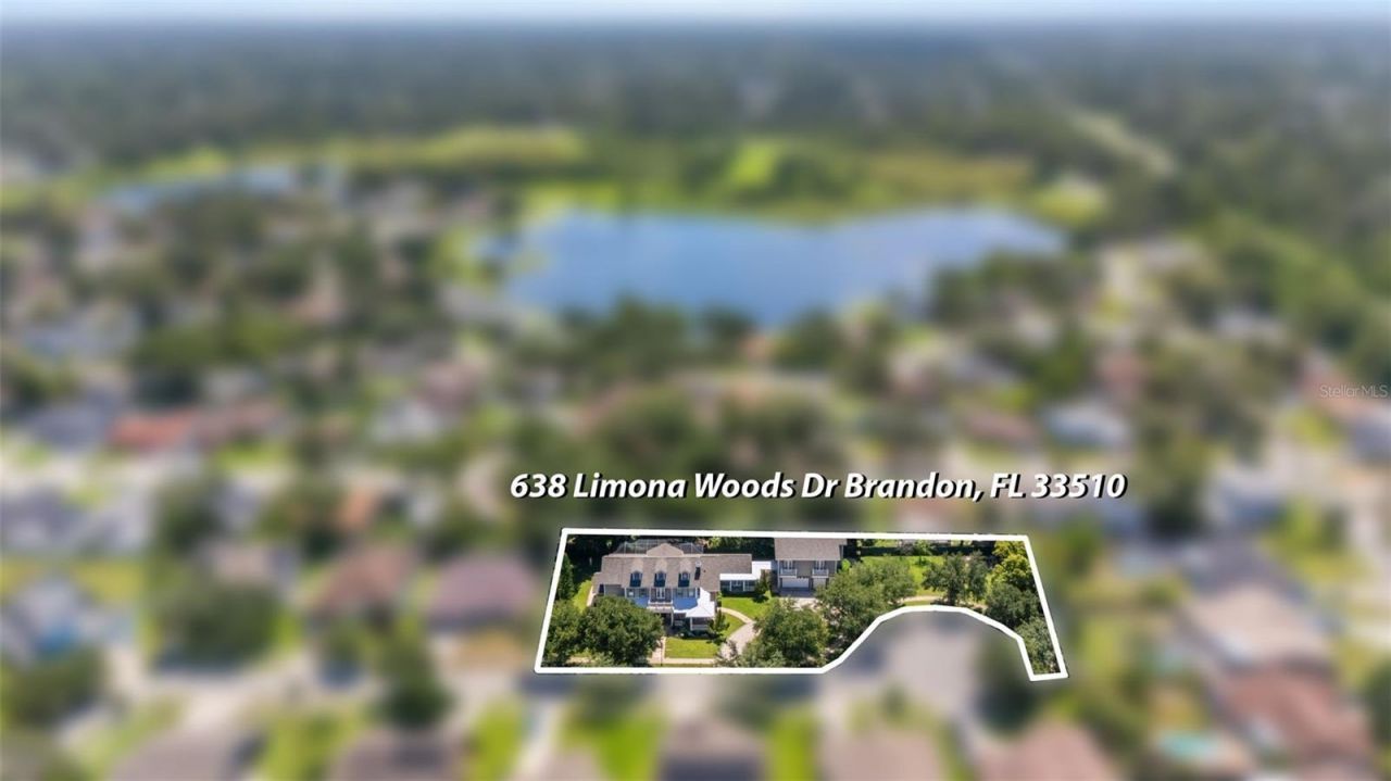 638 Limona Woods Drive, Brandon, FL 33510 Photo