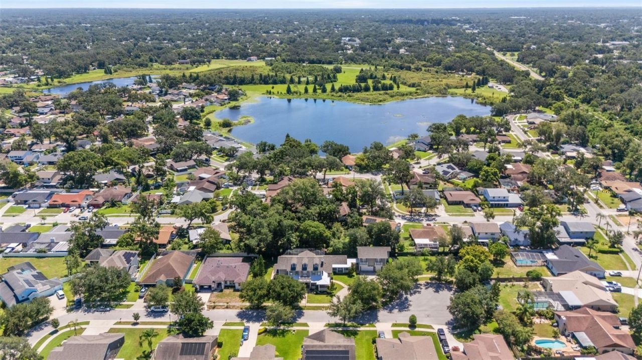 638 Limona Woods Drive, Brandon, FL 33510 Photo