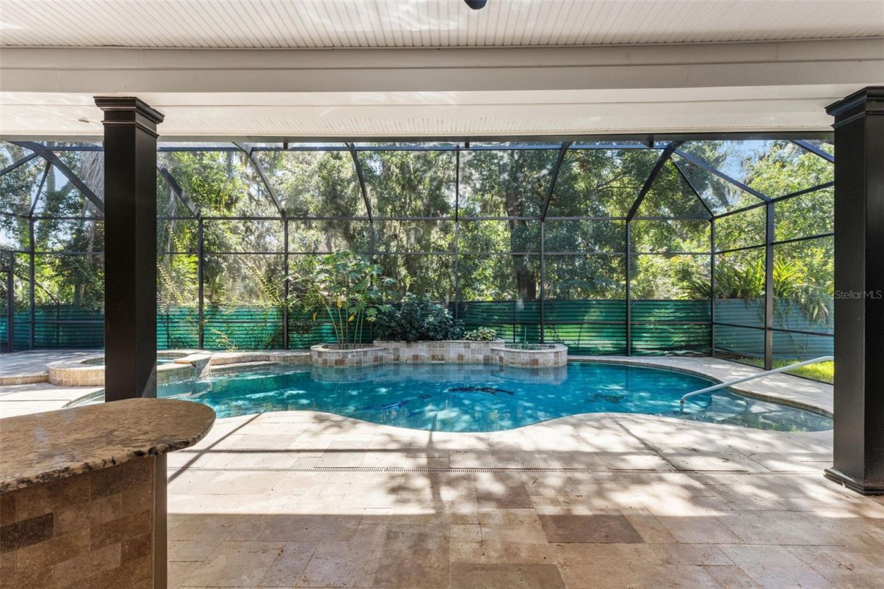 638 Limona Woods Drive, Brandon, FL 33510 Photo