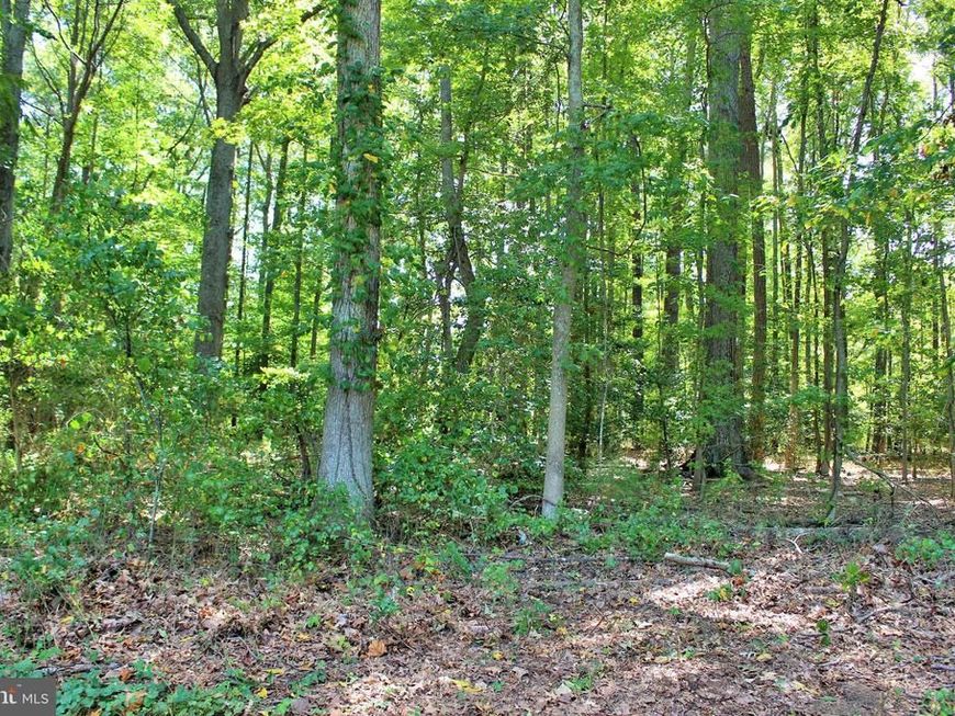 Long Leaf Lane, Leonardtown, MD 20650 Main Photo