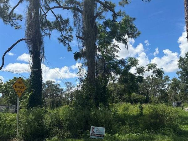 257 Moon Glow, Lake Placid, FL 33852