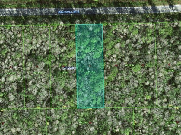 0 DEEN STILL RD E, Polk City, FL 33868