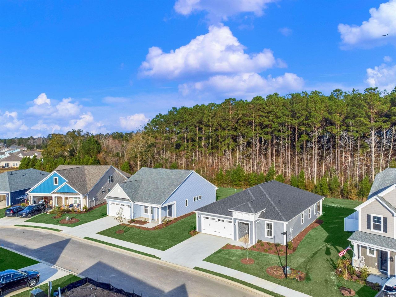 2216 Flatleaf Ct Photo 5