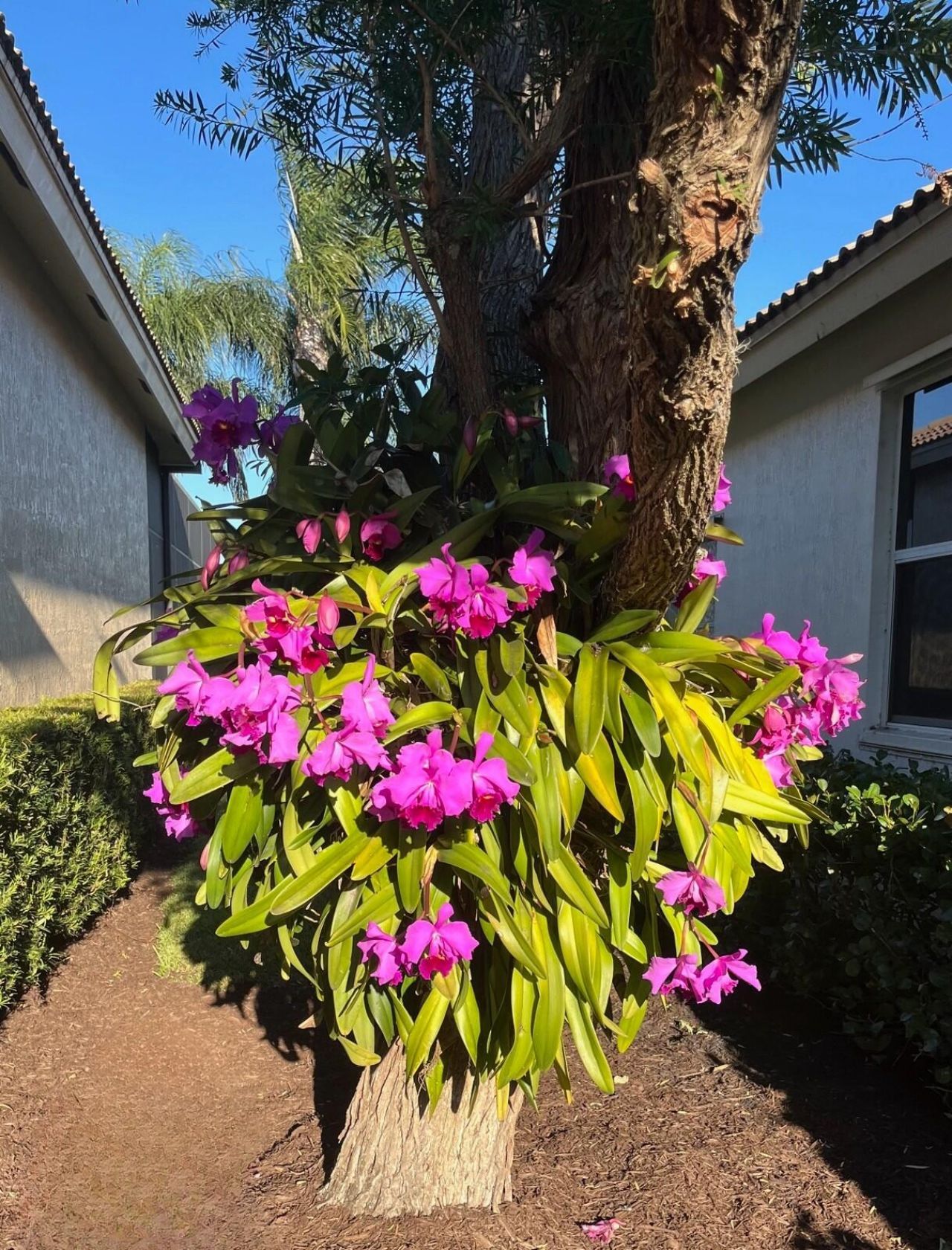 8820 First Tee Road, Port Saint Lucie, FL 34986 Photo