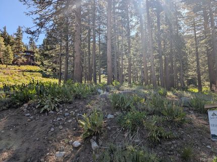 645 Columbine Circle, Kirkwood, CA 95646 Photo