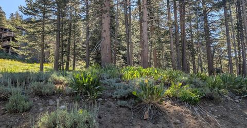 645 Columbine Circle, Kirkwood, CA 95646 Photo