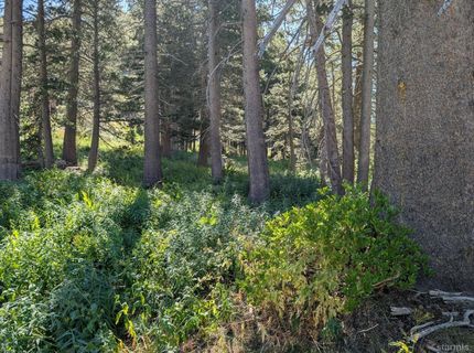 645 Columbine Circle, Kirkwood, CA 95646 Photo
