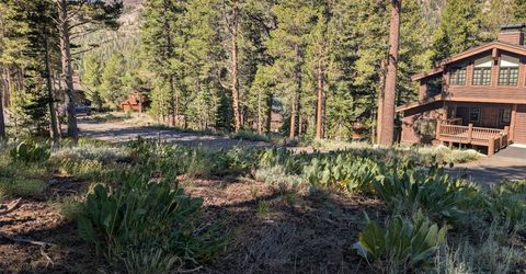 645 Columbine Circle, Kirkwood, CA 95646 Photo