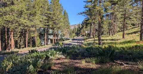 645 Columbine Circle, Kirkwood, CA 95646 Photo