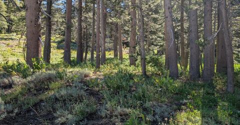 645 Columbine Circle, Kirkwood, CA 95646 Photo