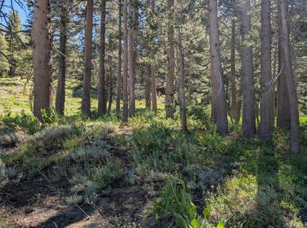 645 Columbine Circle, Kirkwood, CA 95646 Photo
