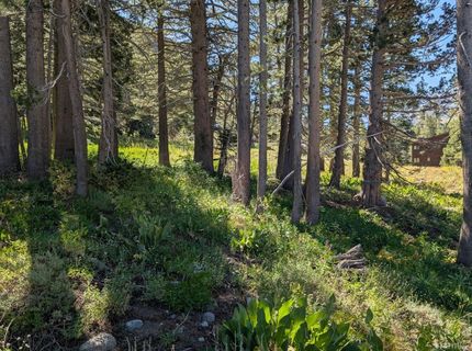 645 Columbine Circle, Kirkwood, CA 95646 Photo