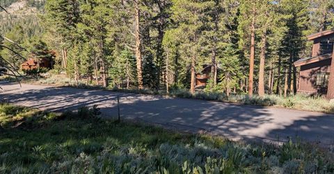 645 Columbine Circle, Kirkwood, CA 95646 Photo