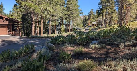 645 Columbine Circle, Kirkwood, CA 95646 Photo