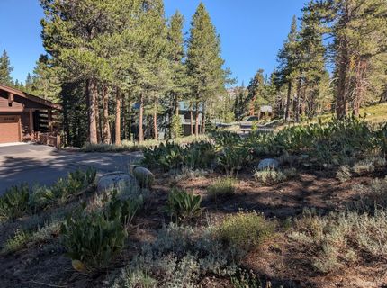 645 Columbine Circle, Kirkwood, CA 95646 Photo
