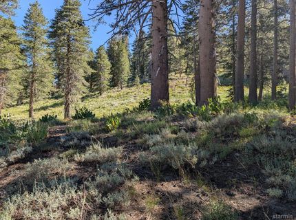645 Columbine Circle, Kirkwood, CA 95646 Photo