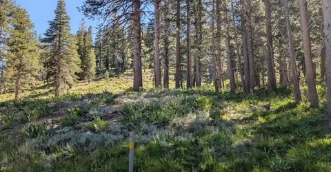 645 Columbine Circle, Kirkwood, CA 95646 Photo