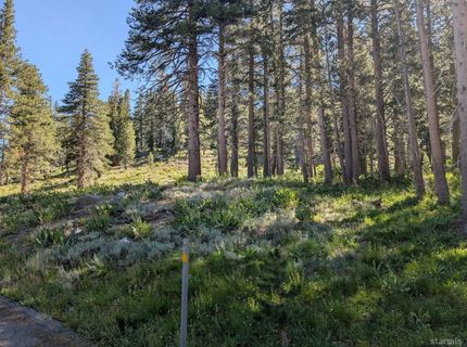 645 Columbine Circle, Kirkwood, CA 95646 Photo