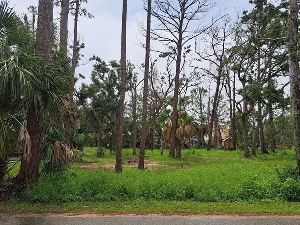 401 W 1ST STREET NW, Unit Lot #4, STEINHATCHEE, FL 32359