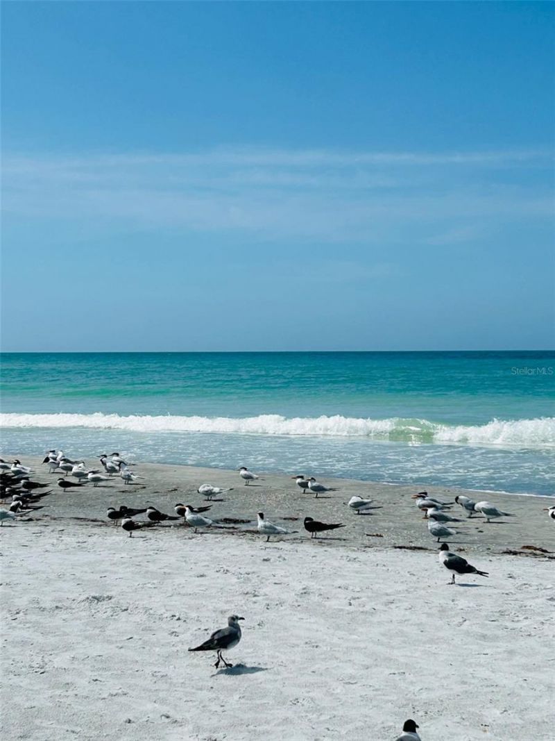 18218 Sunset Boulevard, Unit A, Saint Petersburg, FL 33708 Photo